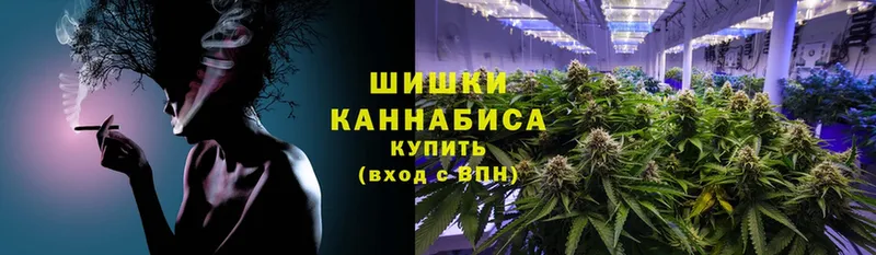 Шишки марихуана THC 21%  купить наркотик  Мураши 